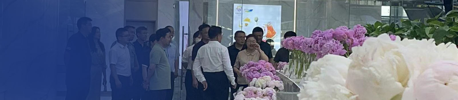 人才招聘