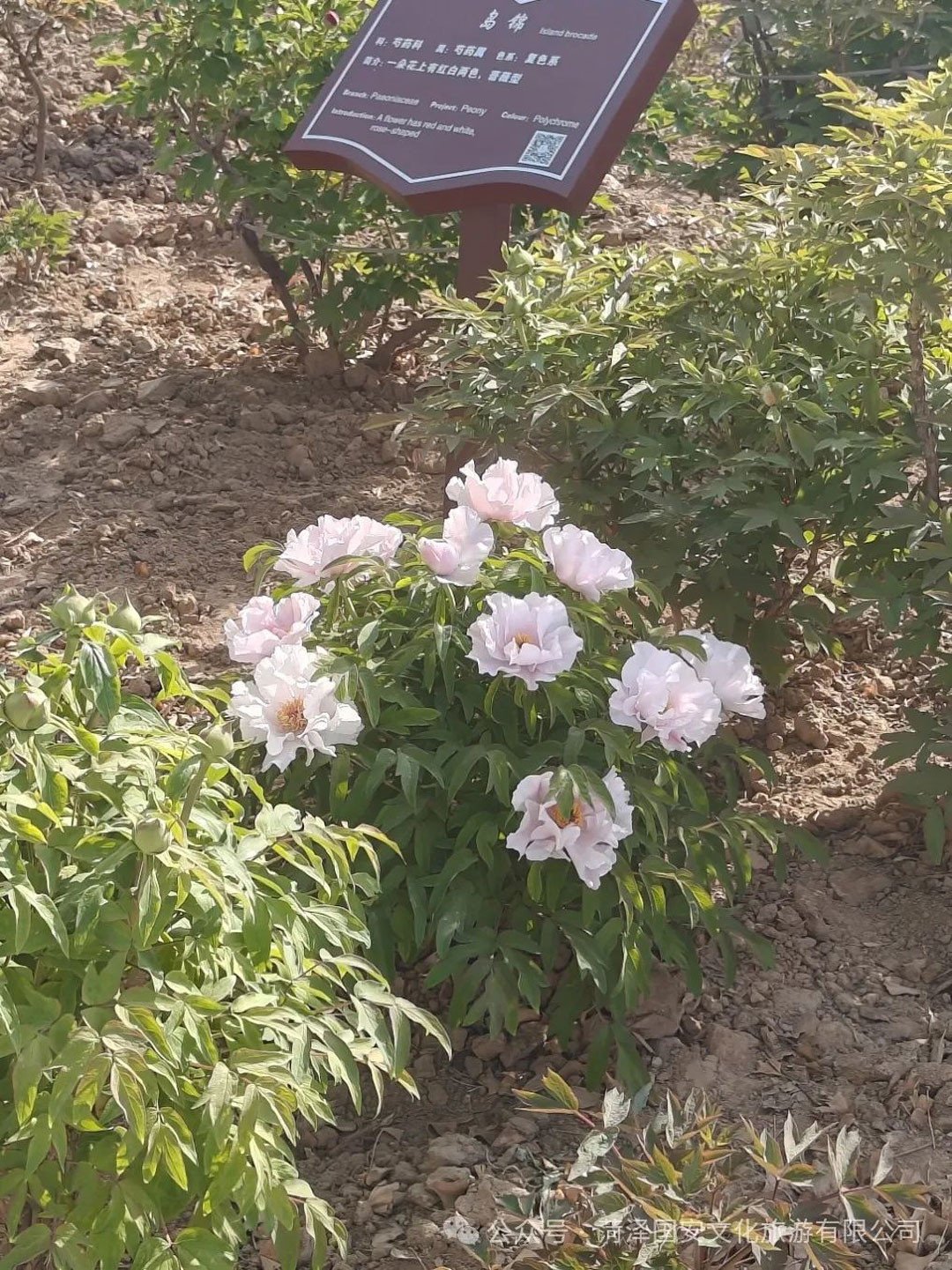 动态